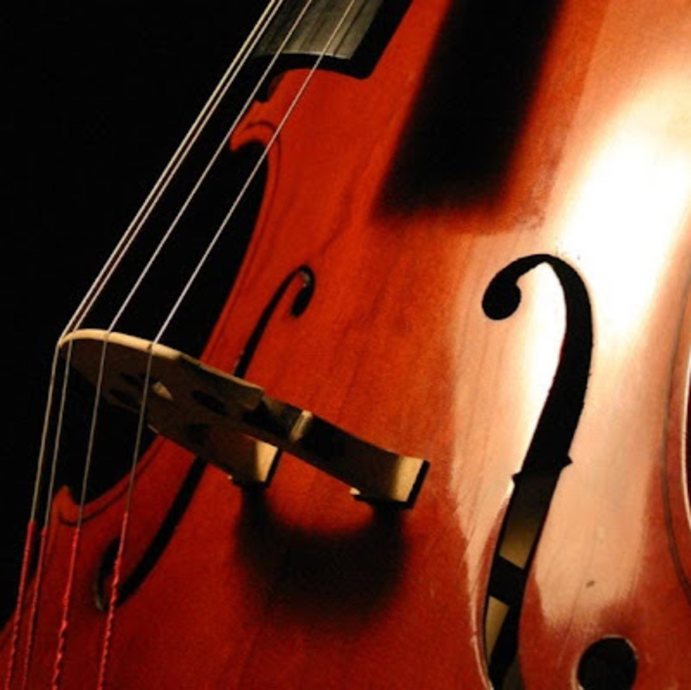 Meet your Posher, Kevin